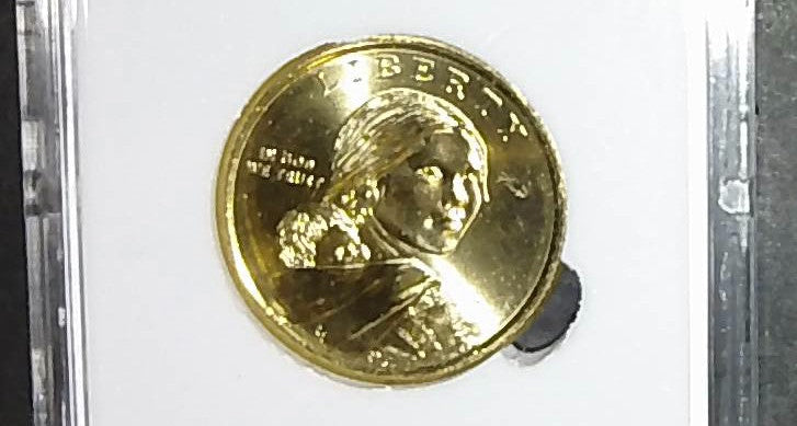 2010-D Sacagawea Dollar SGS MS70 Perfect Grade Native American Dollar Coin