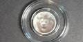320 Coins Lion 5 Gram .999 Fine Silver Round – Collectible Silver Bullion
